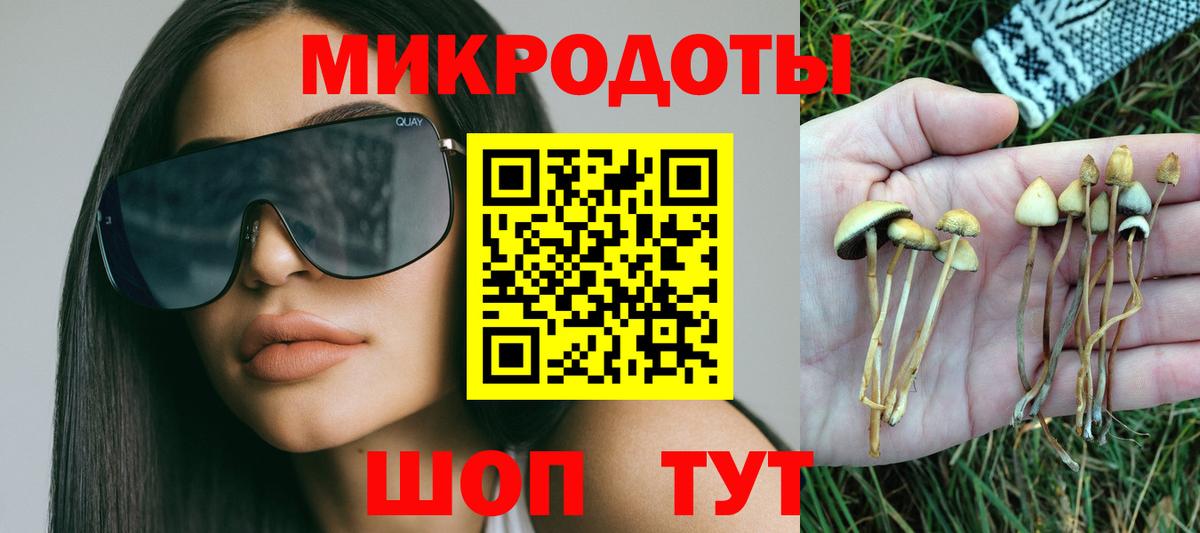 Галлюциногенные грибы Cubensis Ачхой-Мартан