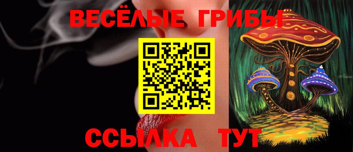 Ачхой-Мартан  Псилоцибиновые грибы ЛСД  Вход с VPN 